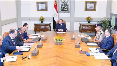 السيسي يوجه بمواصلة الجهود الأمنية والعسكرية لملاحقة العناصر الإرهابية