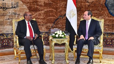 الرئيس السيسي يؤكد استمرار العمل لتحقيق شراكة عادلة في نهر النيل