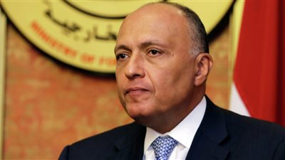 سامح شكري يعلن رفض مصر لتصريحات وزير الخارجية التركي