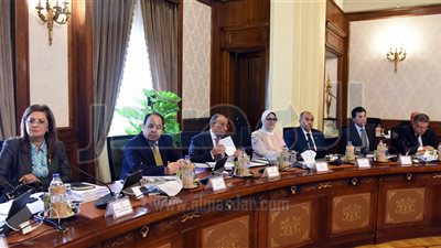 الحكومة تقرر نقل ملكية أصول الهيئات والشركات لسداد مستحقات الكهرباء والغاز والمياه