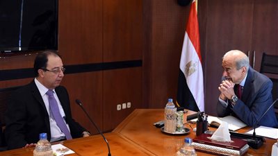 رئيس الوزراء يلتقي السفير الجديد للبنان لدى القاهرة