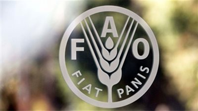 «فاو»: استقرار أسعار الأغذية العالمية خلال سبتمبر الماضي