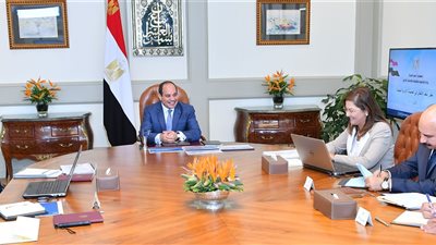 السيسي يستعرض مُستجدات خطة انتقال الحكومة إلى العاصمة الإدارية