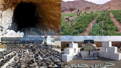 قوات حرس الحدود تضبط 10 مهربين و 12 متسللًا غير شرعي