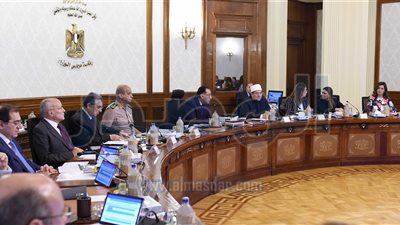 الحكومة تتعاقد مع استشاري خارجي للمرحلة الثانية من محطة الضبعة