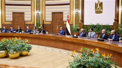السيسي يؤكد الحرص على التفاعل المباشر مع المستثمرين المصريين بالخارج