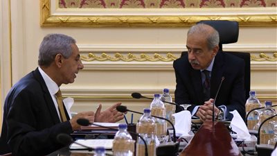 رئيس الوزراء يتابع الموقف التنفيذي لمشروع المثلث الذهبي