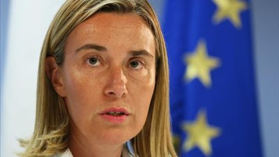 مسئولة أوروبية: لا يوجد حل عسكري للأزمة السورية
