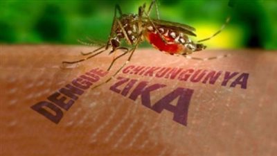 المملكة المتحدة تتخذ إجراءات لمقاومة فيروس 