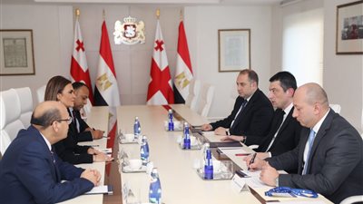 مصر وجورجيا تتفقان على تفعيل عمل اللجنة المشتركة للتعاون الاقتصادى