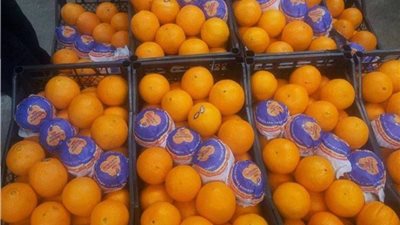 1,5 مليار دولار صادرات مصر غير البترولية خلال فبراير 2018