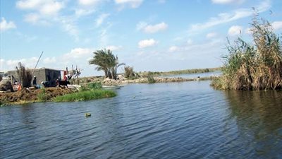 توقف حركة الصيد في بحيرة المنزلة بسبب سقوط الأمطار