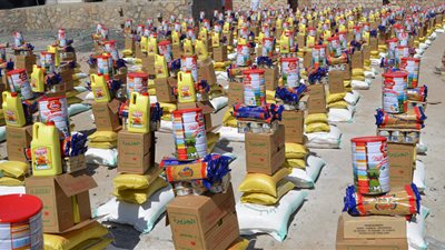 سفير مصر في جوبا يشهد تقديم مساعدات غذائية ولوجستية لجنوب السودان