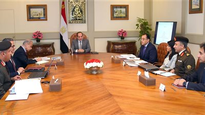 السيسي يبحث الموقف التنفيذى لتطوير مشروعات السياحة والآثار