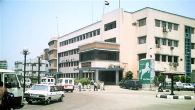 مديرية الزراعة بالشرقية تصدر قرارات الجمعيات العمومية