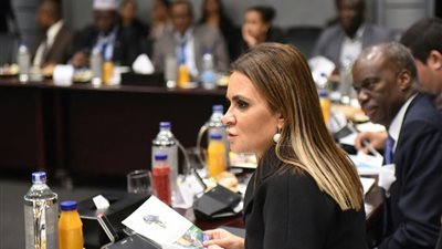 وزيرة الاستثمار تبحث مع السفراء الأفارقة ترتيبات عقد منتدى افريقيا 2019