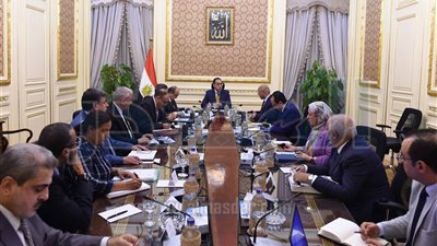 رئيس الوزراء يبحث سبل تطوير الأسطول التجاري البحرى