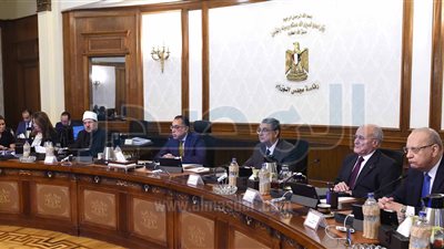 الحكومة توافق على تعديل اتفاقية توصيل الغاز للمنازل مع الوكالة الفرنسية للتنمية