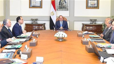 السيسي يستعرض الموقف التنفيذي لمشروعات تنمية محافظة شمال سيناء