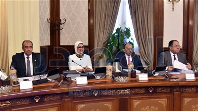 تشكيل لجان مشتركة دائمة في ساحات الكشف والمعاينة بالمنافذ الجمركية