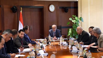 رئيس الوزراء يتابع تطوير شركتي 