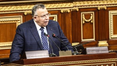 وكيل مجلس النواب يستقبل وزيرة الدفاع اليابانية السابقة