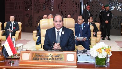 السيسي يعرض وجهة النظر المصرية لحل أزمات المنطقة العربية (صور)