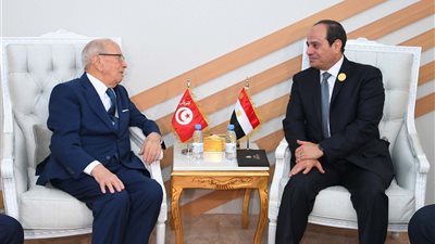 السيسي يبحث مع نظيره التونسي تعزيز التعاون لحل الأزمة الليبية