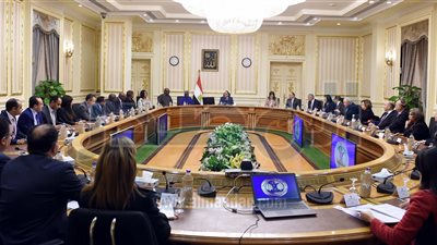 «مدبولي» يعلن الإطلاق الرسمي لمهمة بعثة الآلية الإفريقية لمراجعة النظراء