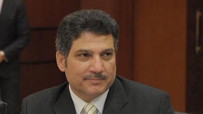 وزير الري يقرر زراعة الأرز في 8 محافظات بمساحة 1,076 مليون فدان