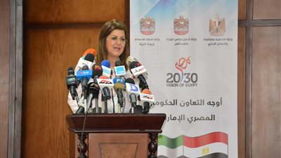 هالة السعيد تعلن إطلاق 20 جائزة للتميز الحكومي