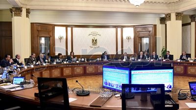 الحكومة تقر حالات منح الجنسية المصرية للأجانب.. منها إيداع مليون دولار