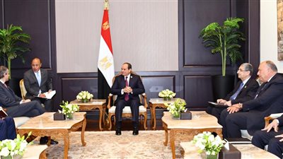 السيسي يبحث مع مدير عام الوكالة الدولية للطاقة الذرية سبل تعزيز التعاون