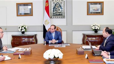 وزير المالية: 19,8 مليار جنيه فائض أولي بالموازنة خلال 5 أشهر