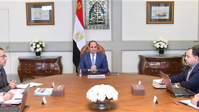 السيسي يوجه بإطلاق مبادرة لـ «صحة السيدات الحوامل» خلال يناير المقبل