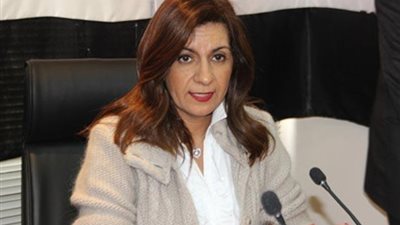 بدء اجتماعات اللجنة التنسيقية لبحث مشكلات المصريين بالخارج