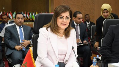 مصر نائبا للمجلس التنفيذي للمنظمة العربية للتنمية الإدارية