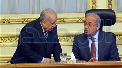 الجريدة الرسمية تنشر استدراكًا بشأن قرار الرئيس بتفويض 