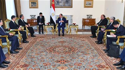 السيسي يبحث مع وزير الخارجية الصيني سبل تعزيز التعاون الثنائي