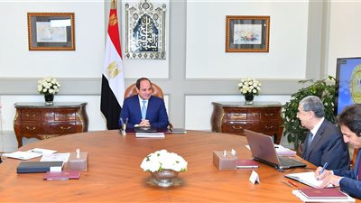 السيسي يوجه بسرعة تنفيذ مشروعات الربط الكهربائي مع دول الجوار