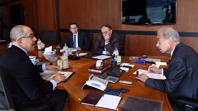 رئيس الوزراء يستعرض تقارير تنفيذ المشروعات الصغيرة بالقرى