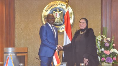 مصر والكونغو يبحثان سبل تعزيز التعاون الصناعي المشترك
