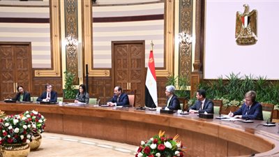 السيسي يستقبل وفدا من أعضاء مجلس المديرين التنفيذيين للبنك الدولي