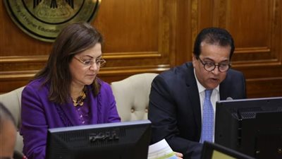 وزيرا التخطيط والتعليم العالي يناقشان الخطة الاستثمارية لعام 2020-2021