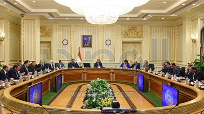 تشكيل لجنة دائمة لتراخيص المنشآت الفندقية والسياحية برئاسة «العناني»