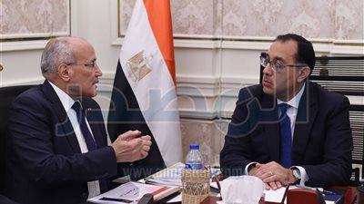 «مدبولي» يتابع إجراءات تنفيذ مشروع إنتاج الألواح الشمسية من الكوارتز