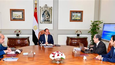 السيسي يؤكد أهمية مواصلة جهود التحديث الشامل لقطاع الكهرباء