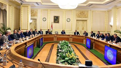 رئيس الوزراء يؤكد حرص الدولة على تطوير البنية التحتية الجاذبة للاستثمار