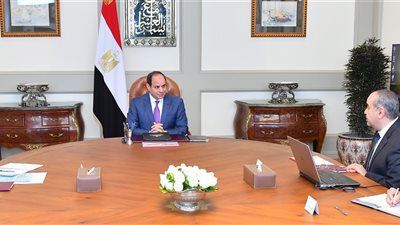 السيسي يوجه بتكثيف الجهود للنهوض بقطاع الطيران المدني