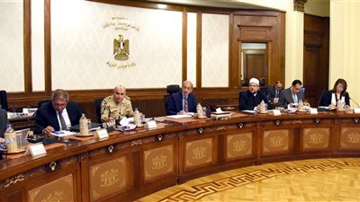 الحكومة: تخصيص 20 فدانا إضافية لمحطة توليد كهرباء البرلس